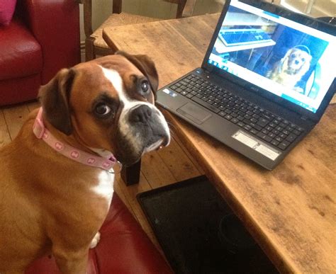 Video Transcription Tutorial 的图像结果