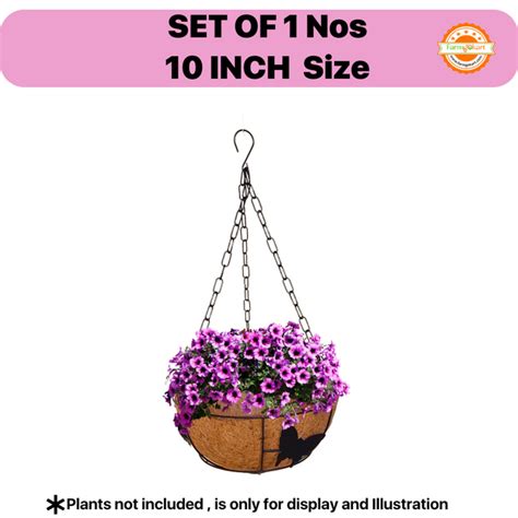 COIR HANGING PLANTERS – Farmgokart