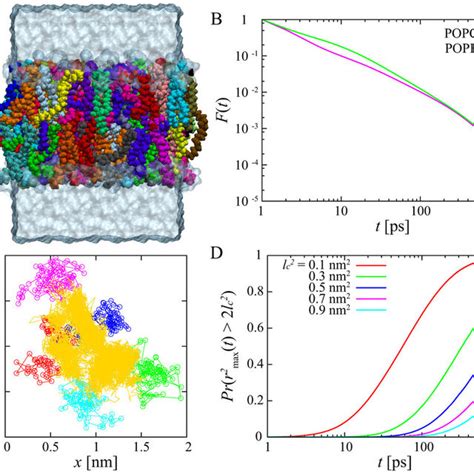 Water Diffusion 的图像结果