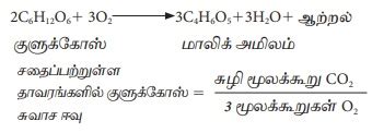 சுவாச ஈவு - தாவரவியல் - முக்கியத்துவம் | Respiratory Quotient (RQ) in ...