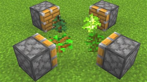 Image result for Helix Tree Sapling Minecraft