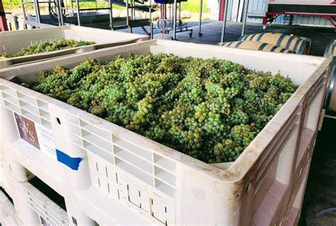 Winery spotlight: Satyr Fire - oregonlive.com