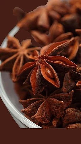 Benefits of chakraful : काय आहेत चक्रफुलाचे आरोग्यदायी फायदे?
