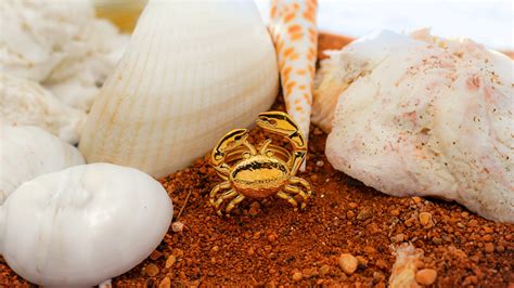 Discover Elegant 18K Gold-Plated & Modern Jewelry – NEEYO