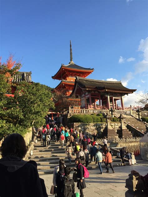 Image result for Python Temple