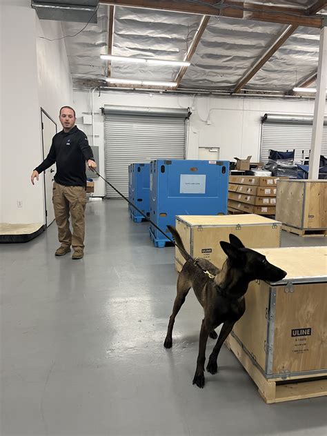 K9 Handler Becky Onlyfans