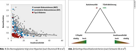 Ist es Zeit für eine neue Diabetesklassifikation? - Endokrinologie ...