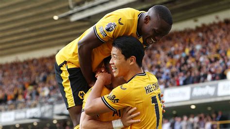 Image result for Wolves Villa