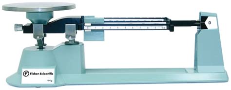 Using a Balance Scale 的图像结果