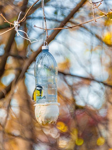 Plastic Bird Feeder