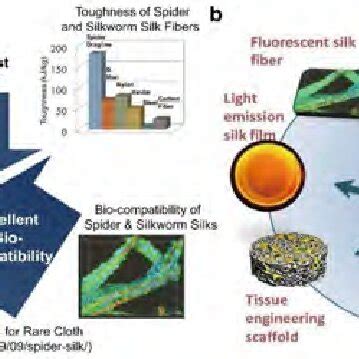 Image result for Silk Processing