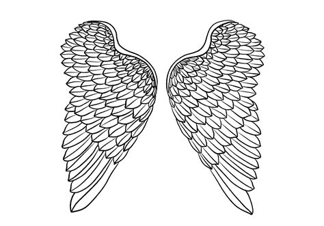 How to Draw Angel Wings | Design School