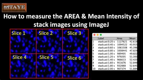 Image result for ImageJ Tutorial Length