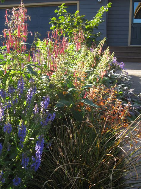 Portfolio - Melissa Bees