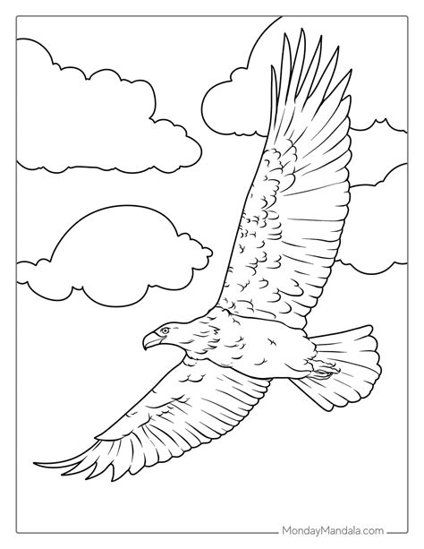 35 Bald Eagle Coloring Pages (Free PDF Printables)