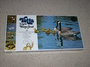 Buy YOTTA KNOW WATERFOWL Family Learning Game for any age and any ...