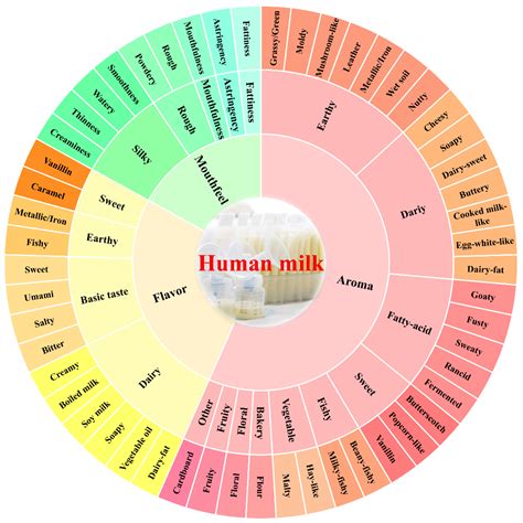 Flavor Wheel Construction and Sensory Profile Description of Human Milk