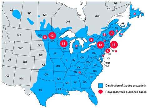 Powassan Virus Infections: A Systematic Review of Published Cases