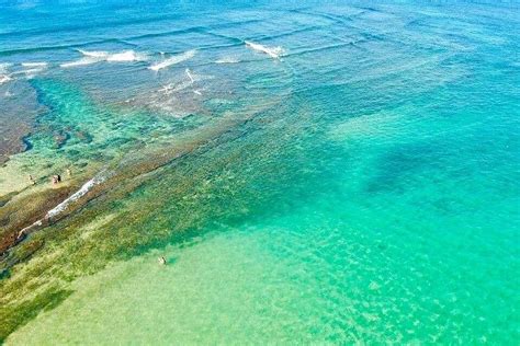 CORAL SANCTUARY (2025) All You Need to Know BEFORE You Go (with Photos ...