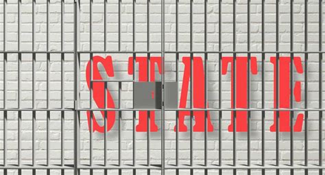 Image result for State Capture