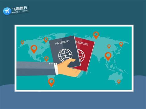 北京动力天下 签证系统开发 签证在线申请表开发 签证系统开发公司