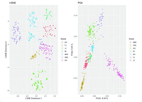 Image result for Pca and Components Example