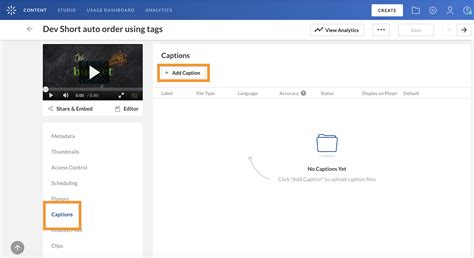 Kaltura: Add Captions Manually to Your Kaltura Video (without using the ...