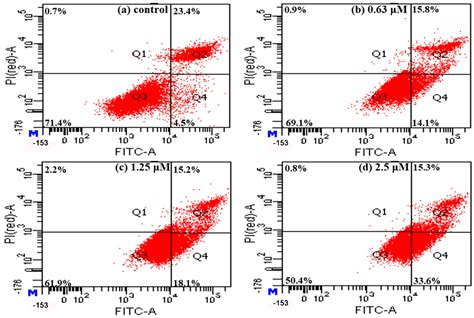 PSMA-Oriented Target Delivery of Novel Anticancer Prodrugs: Design ...