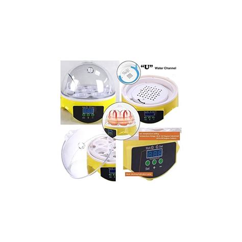 Buy Incubators for Hatching Eggs Small 7 Eggs Incubators with ...