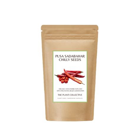 Pusa Sadabahar Chilly Seeds (Organic, Non-Hybrid, Non-GMO, Open ...