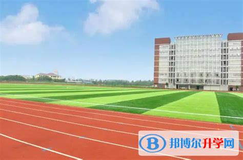 今年湛江市中考体育方案有新调整- 吴川市人民政府门户网站 - 手机版