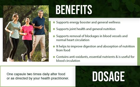 Buy Bixa Botanical Moringa Oleifera leaf Superfood (shigru/Shahjan ...