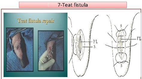 Image result for Program Files On Computer