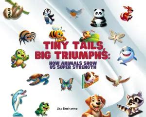 Attribute Examples 的图像结果