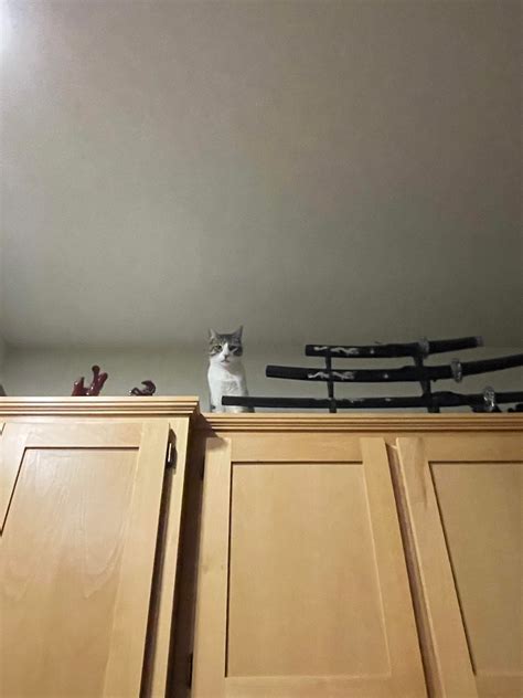 Charlotte G (u/charlottegodoy) - Reddit