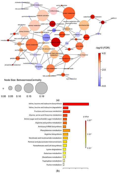 Untargeted Multiomics Approach Coupling Lipidomics and Metabolomics ...