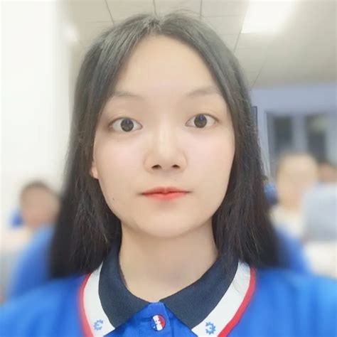 Company Overview - Guangdong Huixing Hitech Co., Ltd.