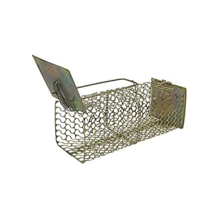 SHASHIKIRAN Rat Trap Cage, Rodent Control, Chuhaa Pinjra for Rat, Mouse ...