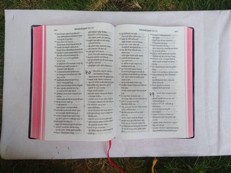 Nepali Holy Bible - BSI version containing Old and New Testament. Pack ...