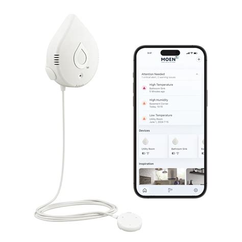Moen 920-004 Flo by Moen Smart Water Detector, 1-Pack : Amazon.in: Home ...