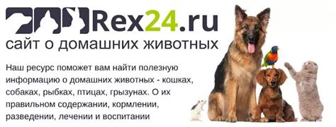 Зоопортал пермь 2024