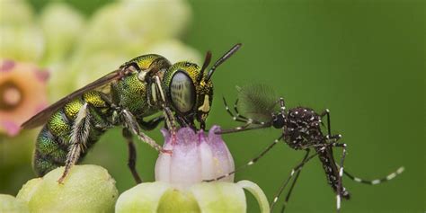 The Wire: The Wire News India, Latest News,News from India, Politics ...