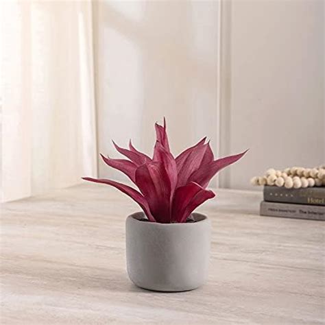 Buy Pure Home and Living Artificial Red Succulent with Cement Pot ...
