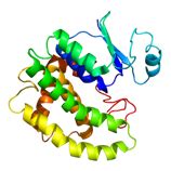 Tags for protein purification | Proteintech Group
