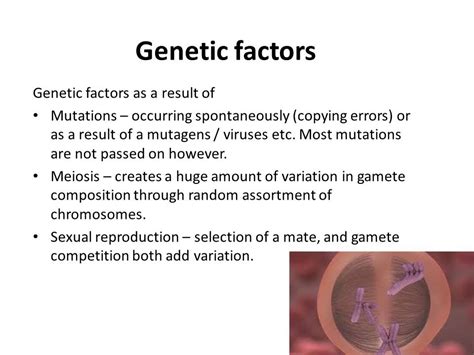 Image result for Variation Natural Selection