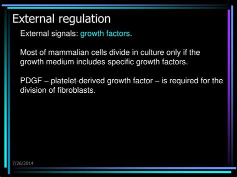 Image result for Cell Cycle Control Systems