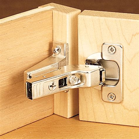 Blum Top Clip Inset Hinges Face Frame | Desertcart INDIA
