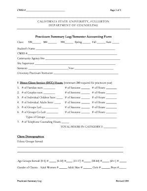 Fillable Online hhd fullerton Practicum Summary Log/Semester Accounting ...
