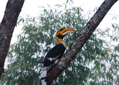 TSIRANG DAMPHU BHUTAN (2026) All You Need to Know BEFORE You Go (with ...