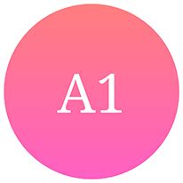 ÖSD Zertifikat Examination in Kerala | Voyage to Victory Language Academy